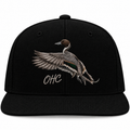 pintail take off hat