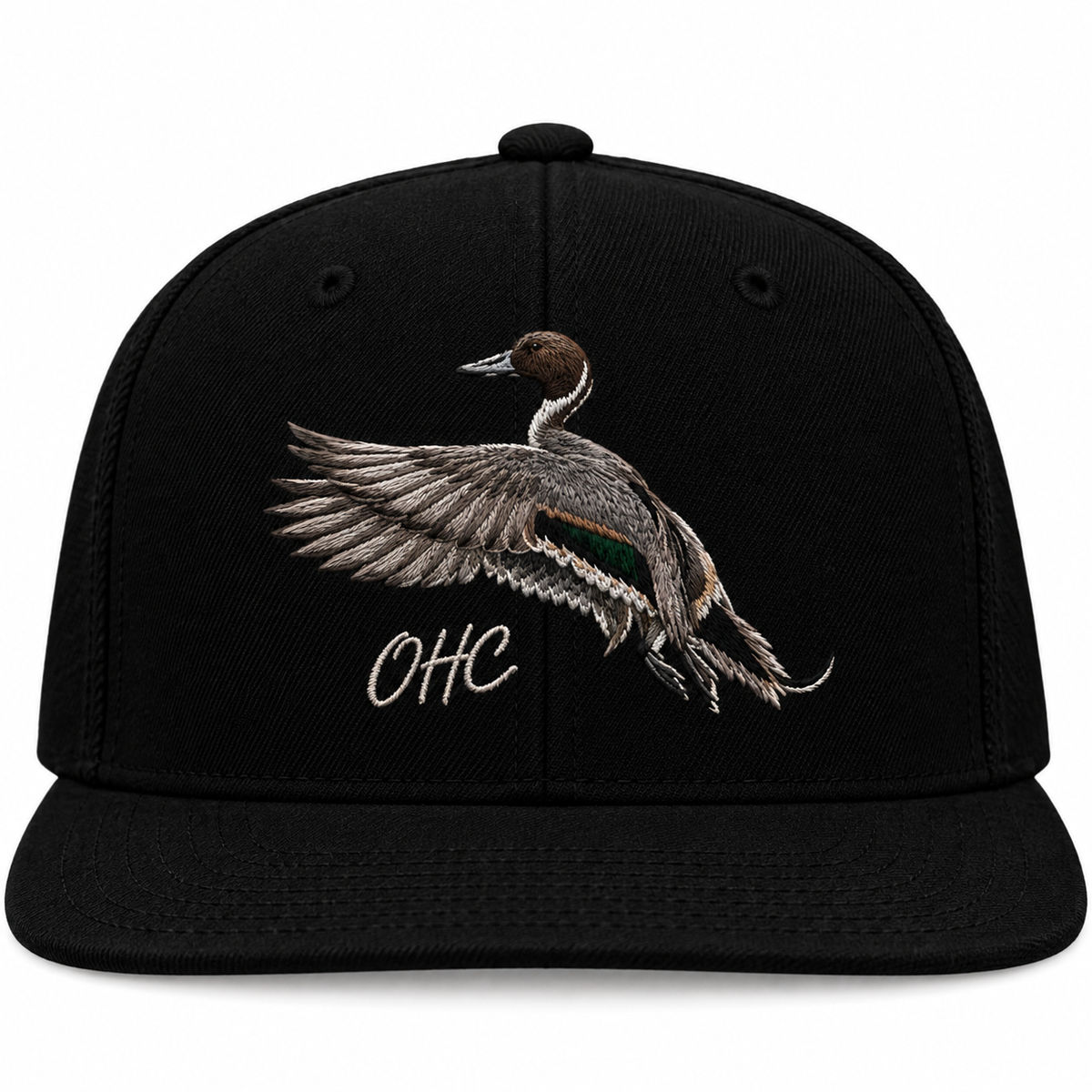 pintail take off hat